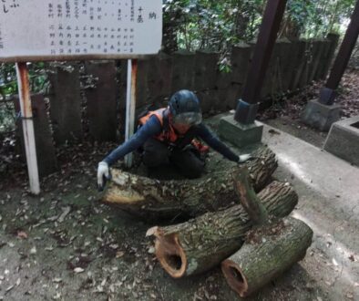 LINE_ALBUM_笛印　住吉神社 宇土市住吉町_230615_10